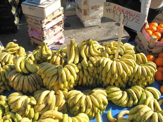 5aralik016 5aralik016