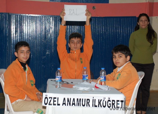 ioo006 ioo006