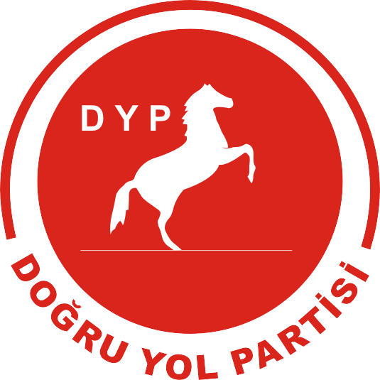 dyp_logo14