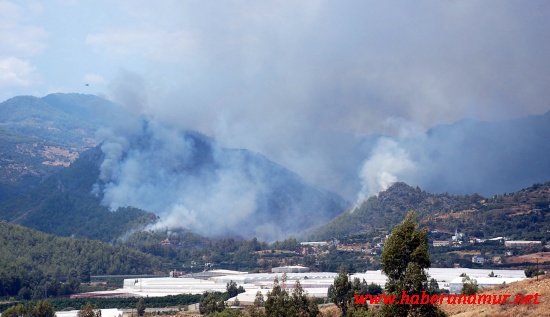 rlsiuxyln5001 rlsiuxyln5001