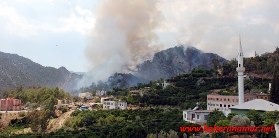 rlsiuxyln5004 rlsiuxyln5004