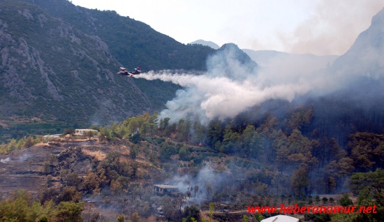 rlsiuxyln5008 rlsiuxyln5008