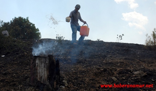 rlsiuxyln5009 rlsiuxyln5009