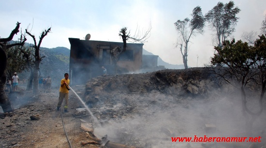 rlsiuxyln5013 rlsiuxyln5013