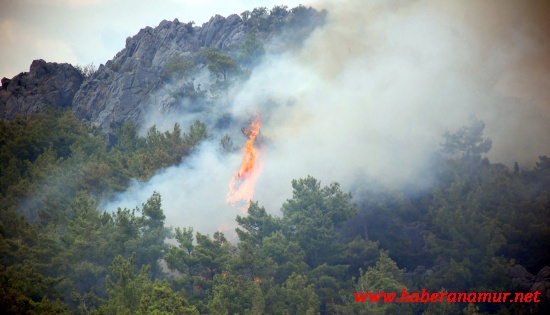 rlsiuxyln5015 rlsiuxyln5015