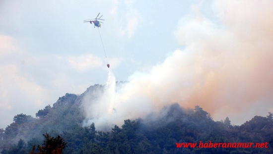 rlsiuxyln5016 rlsiuxyln5016