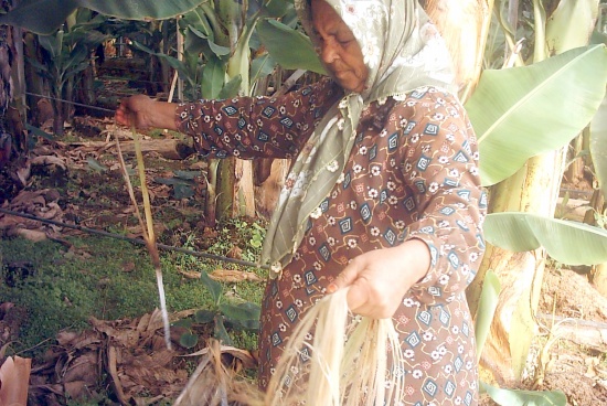 34typ67kx4yml0003 34typ67kx4yml0003