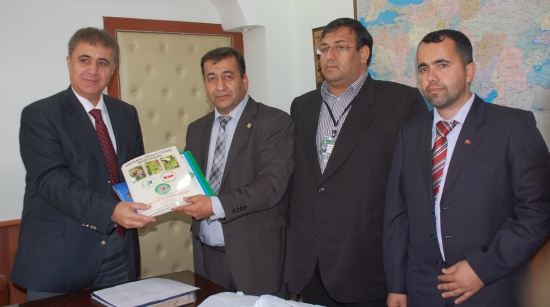 34typ6ml0002 34typ6ml0002