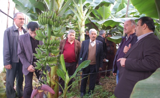 34typ6ml0004 34typ6ml0004