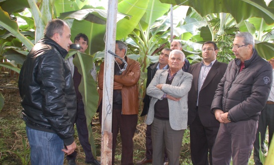 34typ6ml0005 34typ6ml0005