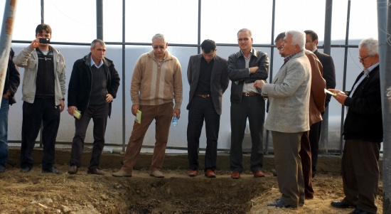 34typ6ml0006 34typ6ml0006