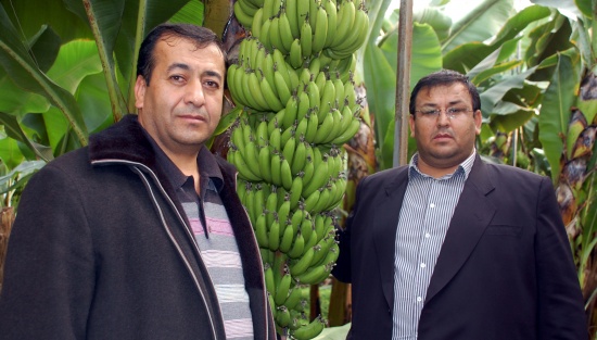 34typ6ml0007 34typ6ml0007