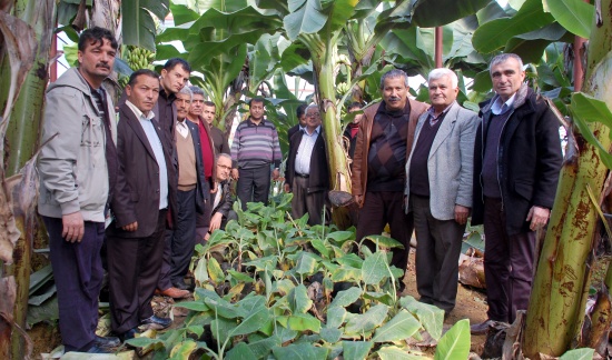 34typ6ml0008 34typ6ml0008