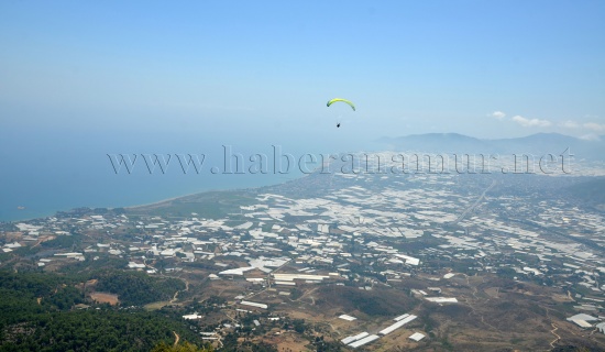 haber0082 haber0082