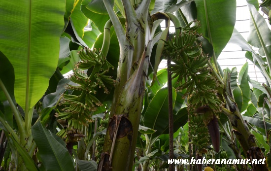 haberl0023 haberl0023