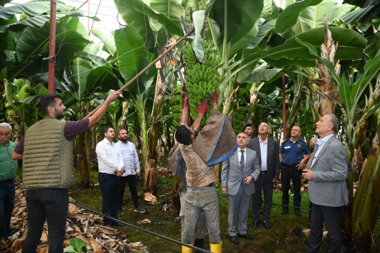 haberanamur0021 haberanamur0021