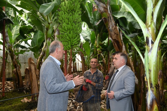 haberanamur0041 haberanamur0041